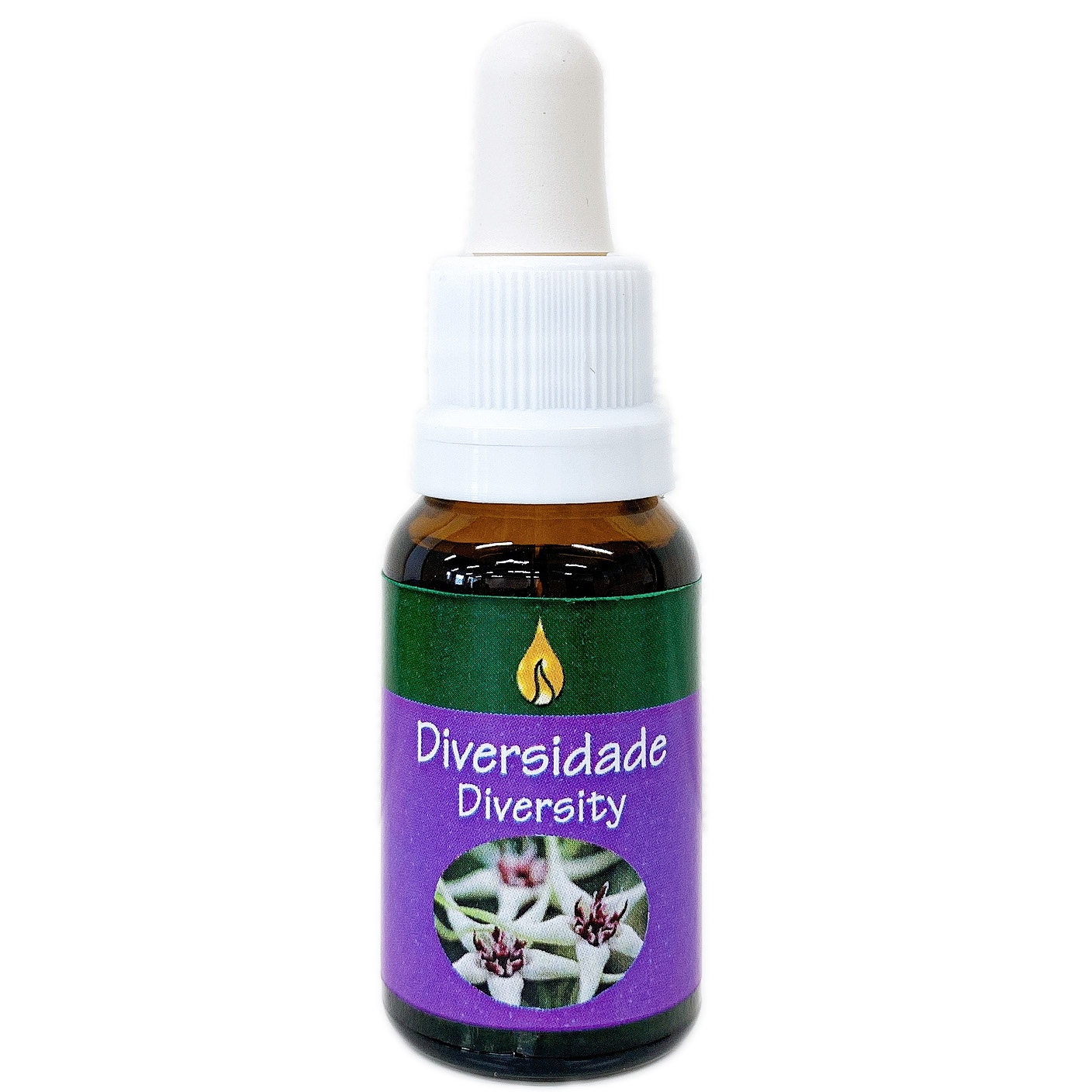 ダイバーシティー [Diversity]『多様性』　　　　