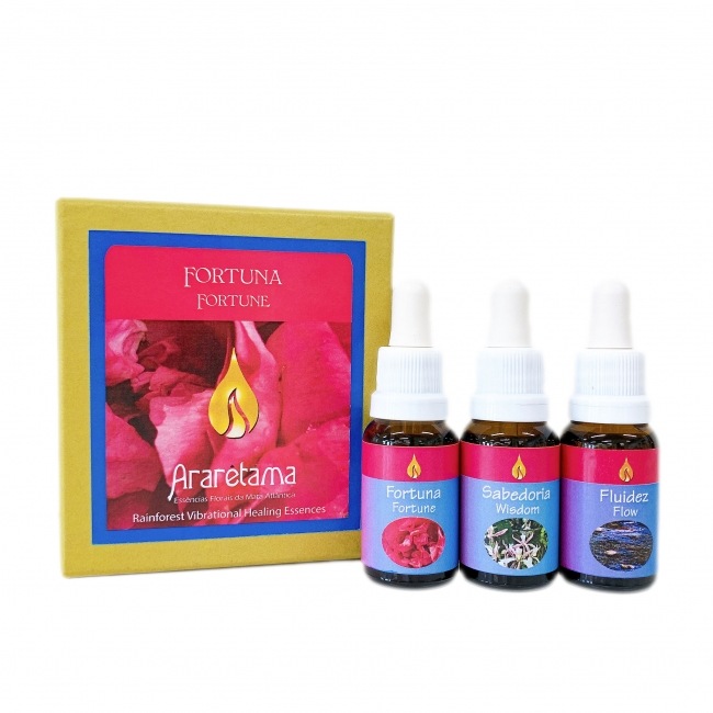 フォーチュンキット(全3本)