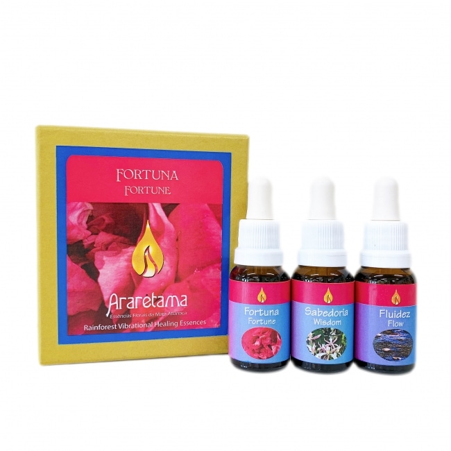 フォーチュンキット(全3本)