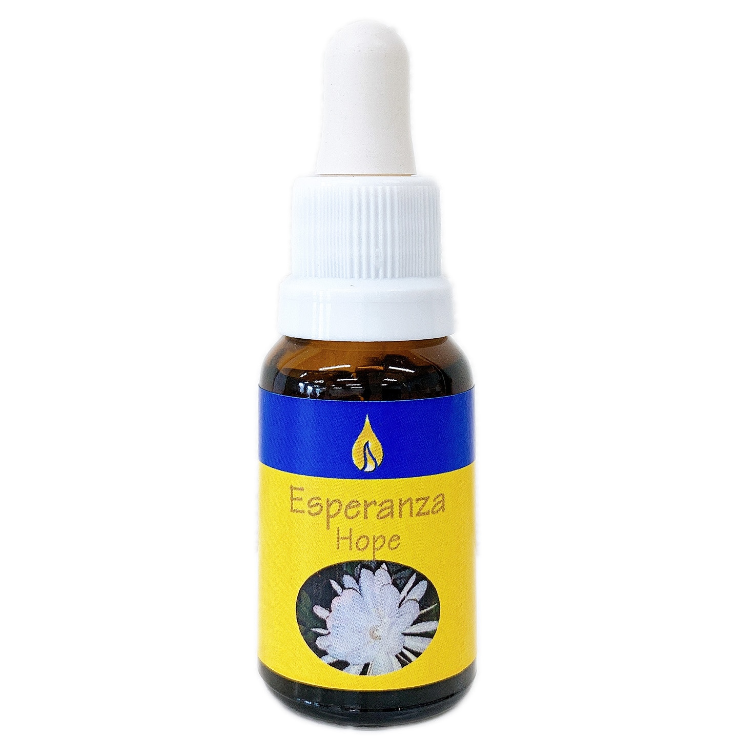 ホープ [Hope]『希望』　　　　　　　　　　