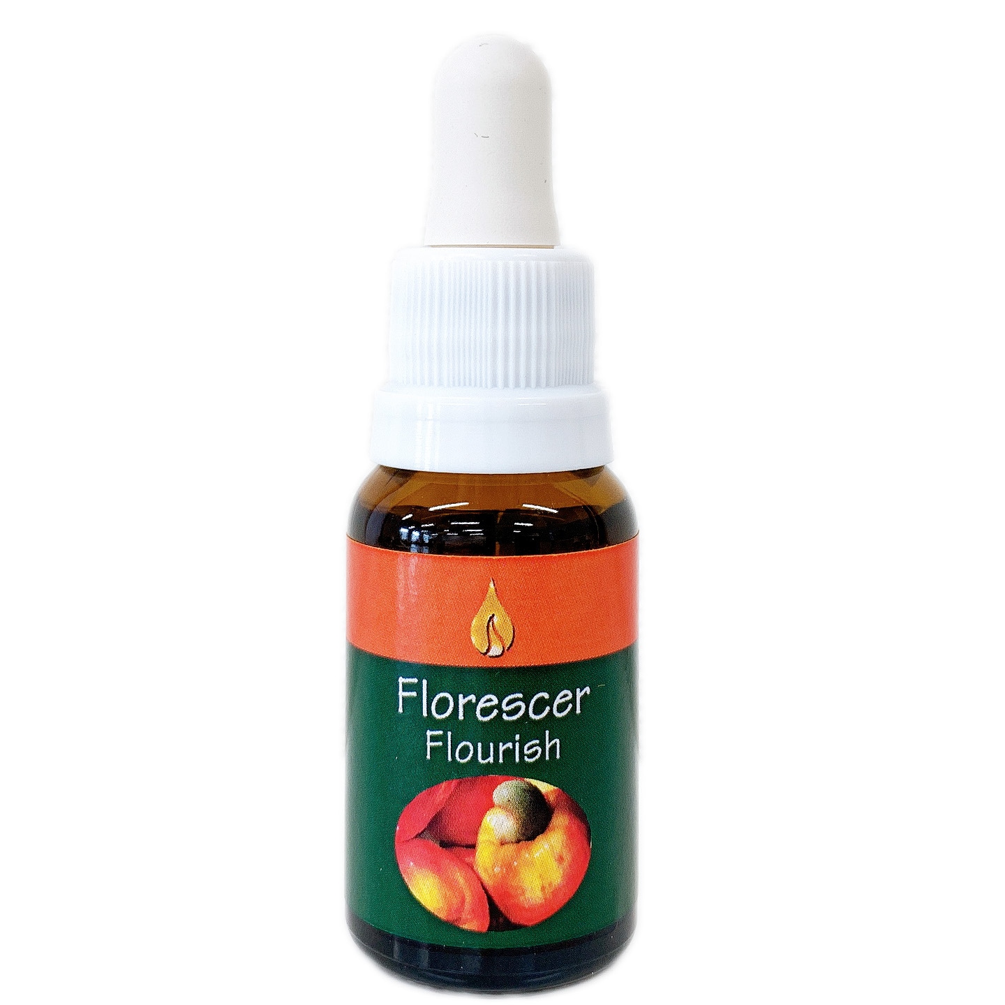 フラリッシュ [Flourish]『繁栄』　　　　