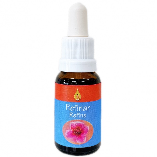 リファイン [Refine]『洗練』　　　　　　