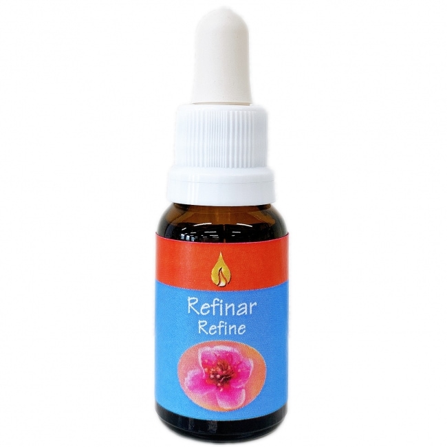 リファイン [Refine]『洗練』　　　　　　