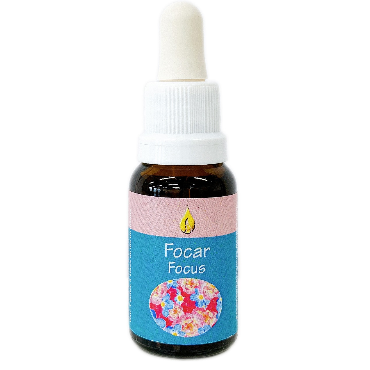 フォーカス [Focus]『集中』（キッズキット）