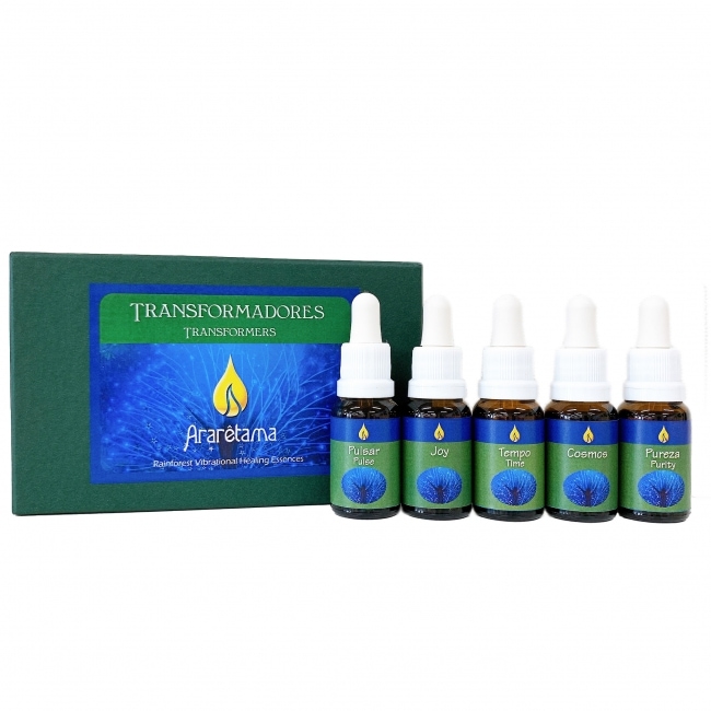 トランスフォーマーズキット(全5本)