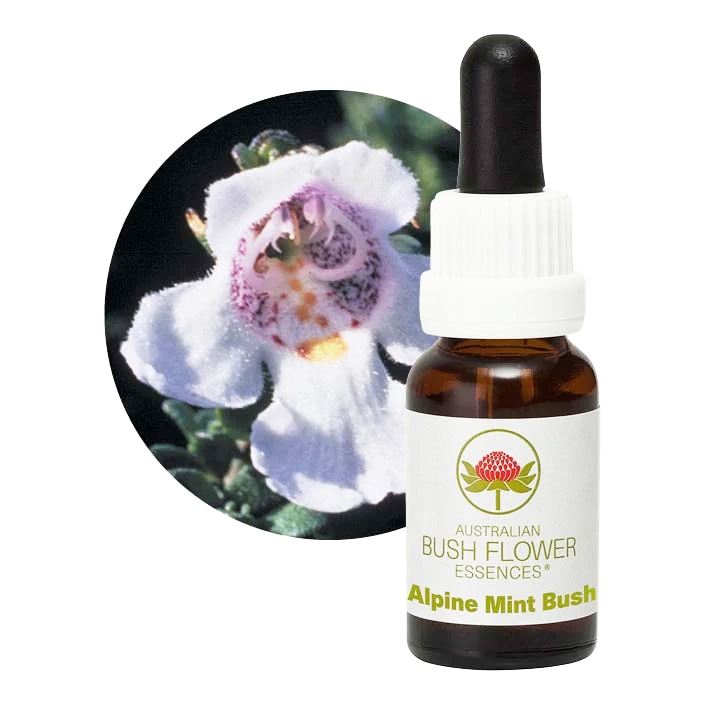 専用】ベビーブルーアイズ(30ml) FES フラワーエッセンス 他 専用