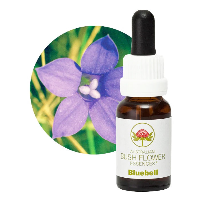 ブルーベル[Bluebell]