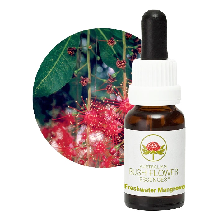 フレッシュウォーターマングローブ[Freshwater Mangrove]