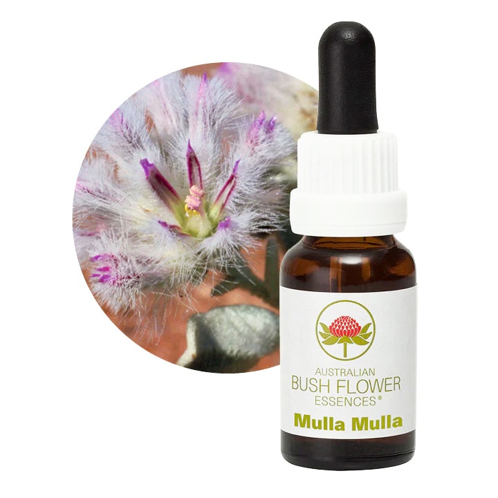 ムラムラ[Mulla Mulla]