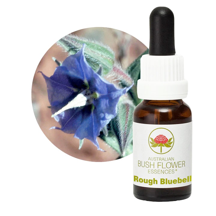 【専用】マウンテンデビル オーストラリアンブッシュ　フラワーエッセンス 楽天市場】マウンテンデビル オーストラリアンブッシュ