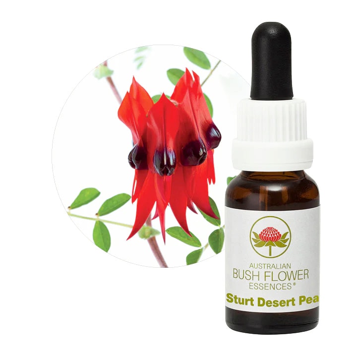 リリース Release Environmental Essence | ブランド一覧