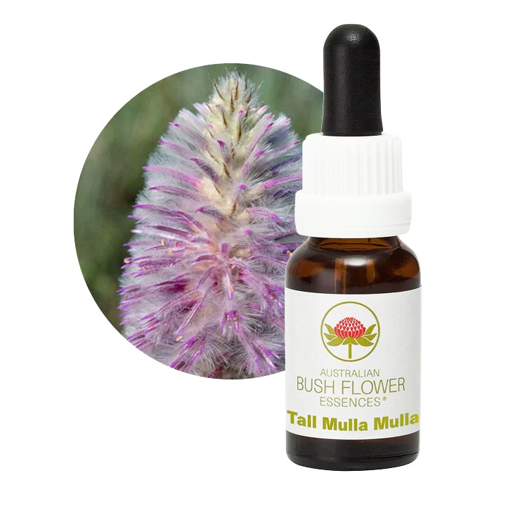 【専用】ピンクムラムラ　オーストラリアンブッシュ フラワーエッセンス　他 ピンクムラムラ[Pink Mulla Mulla] | ブランド一覧