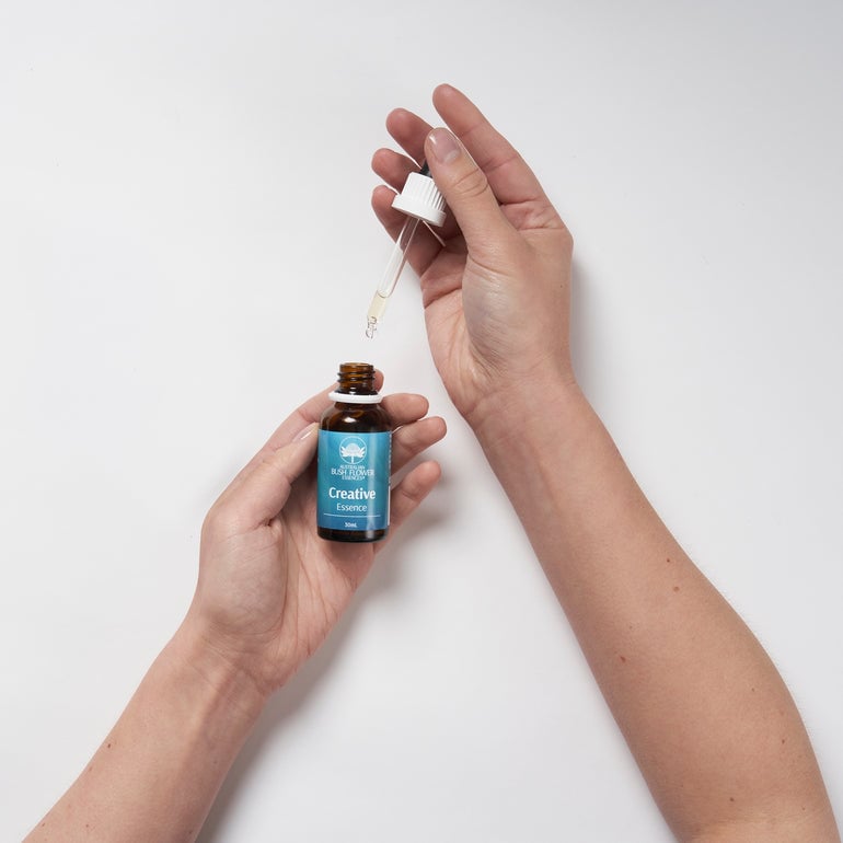 クリエイティブ[Creative]『創造性』 | ブランド一覧,オーストラリアン