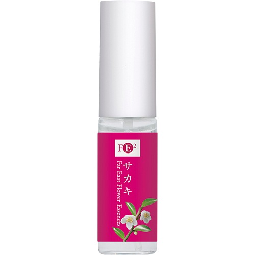 サカキ[Cleyera japonica]