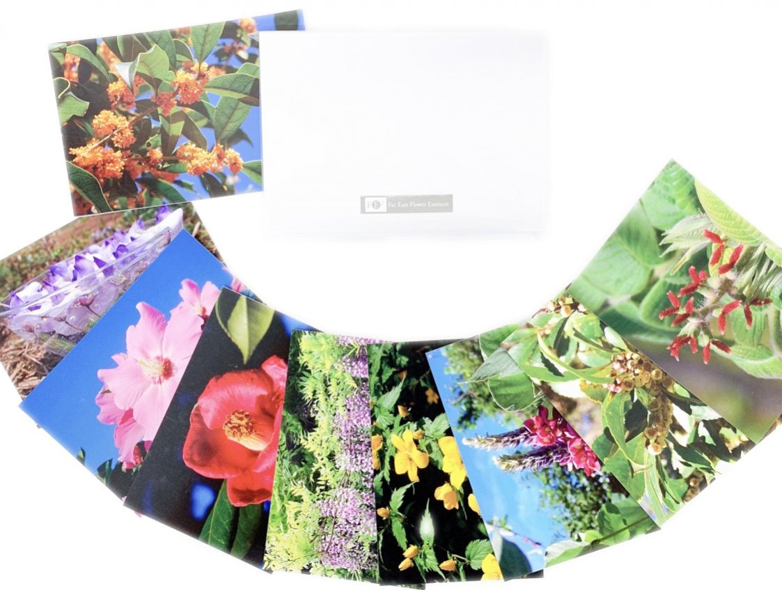 フラワーカード[40 Bach Flower Essence Postcards] | ブランド一覧