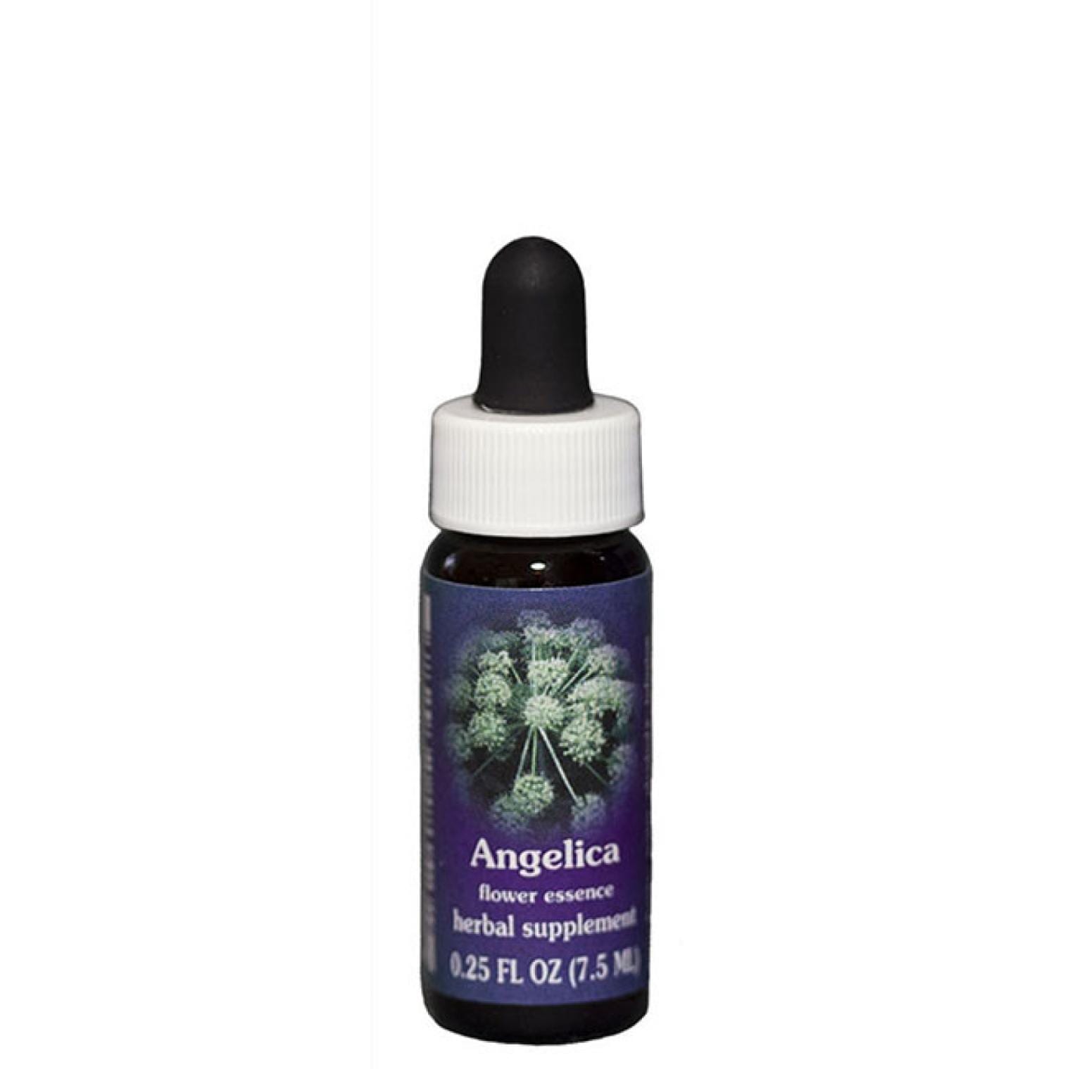 アンジェリカ7.5ml[Angelica] | ブランド一覧,FESフラワーエッセンス