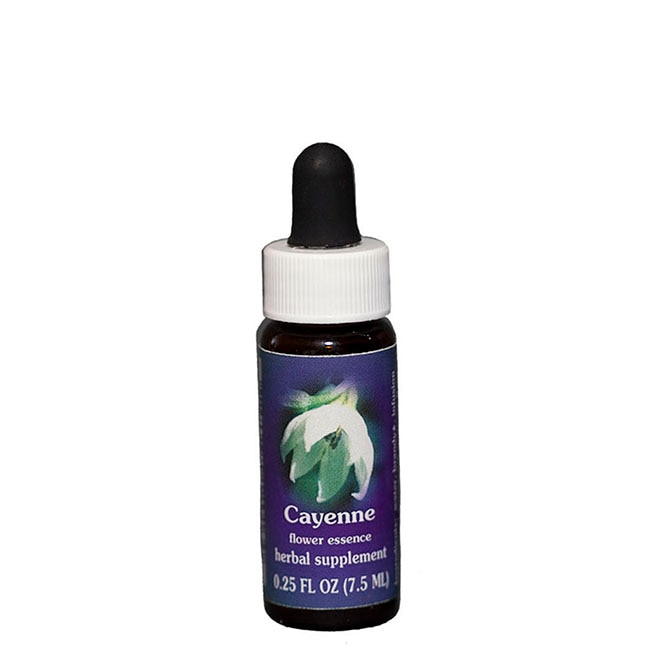 ゴークリエイト[Go Create](30ml) | ブランド一覧,アラスカン