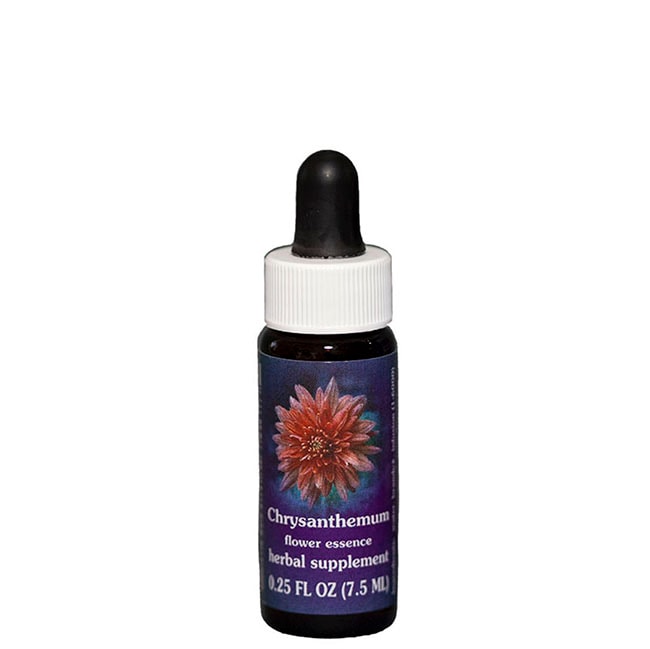 クリサンセマム7.5ml[Chrysanthemum]