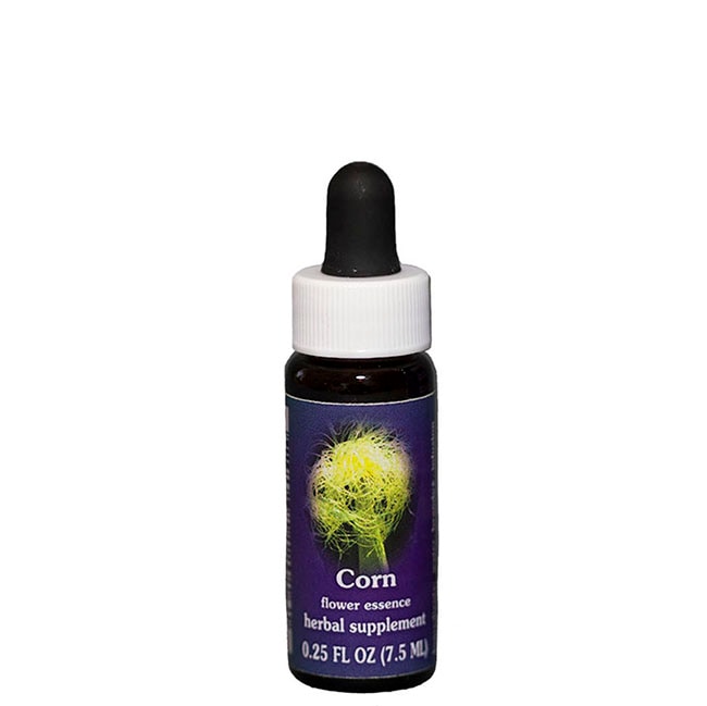 コーン7.5ml[Corn]