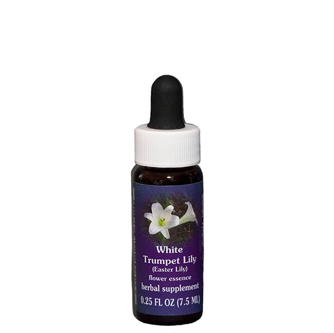 イースターリリー(ホワイトトランペットリリー) 7.5ml[White Trumpet Lily]