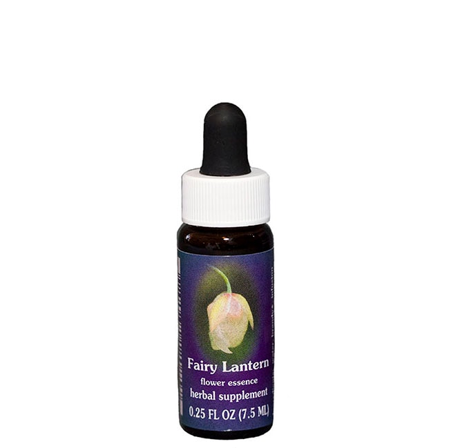 フェアリーランタン7.5ml[Fairy Lantern]