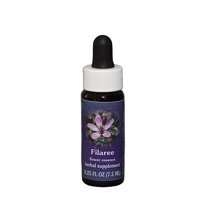 フィラリー7.5ml[Filaree]