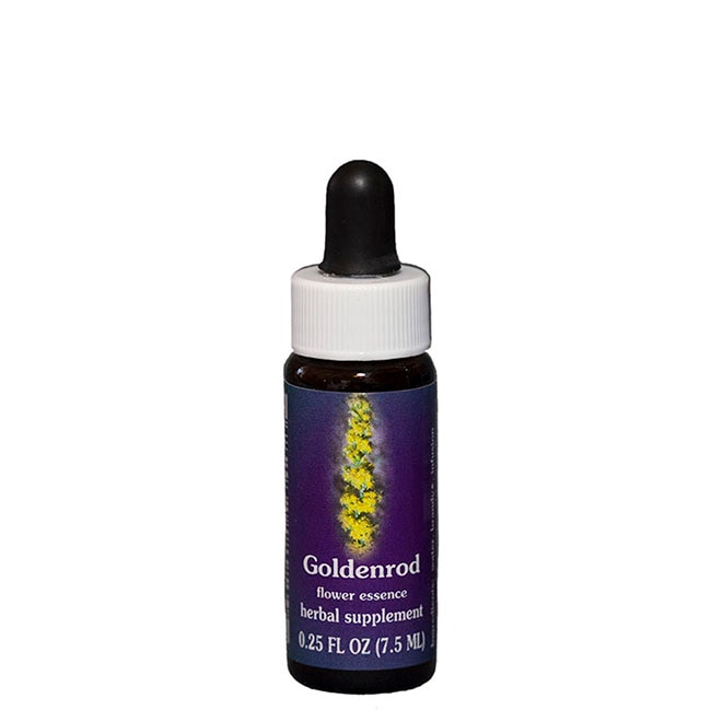 ゴールデンロッド7.5ml[Goldenrod]