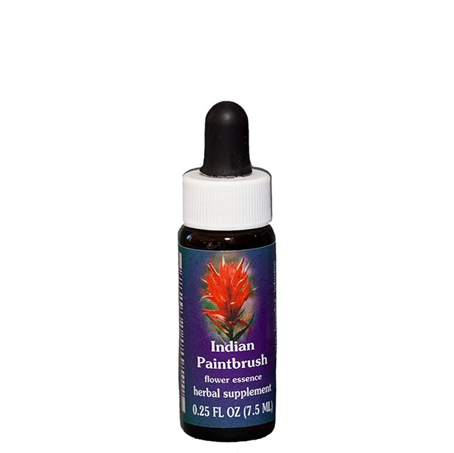 インディアンペイントブラッシュ7.5ml[Indian Paintbrush]