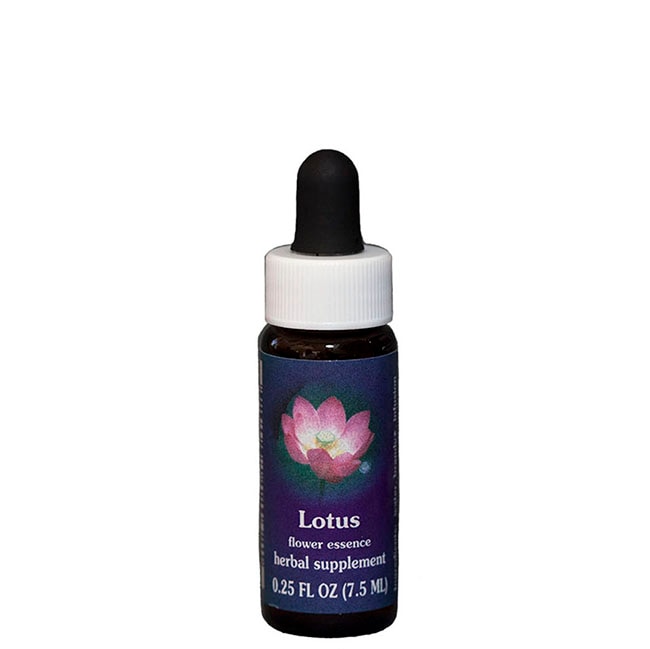 ロータス7.5ml[Lotus] | ブランド一覧,FESフラワーエッセンス,北