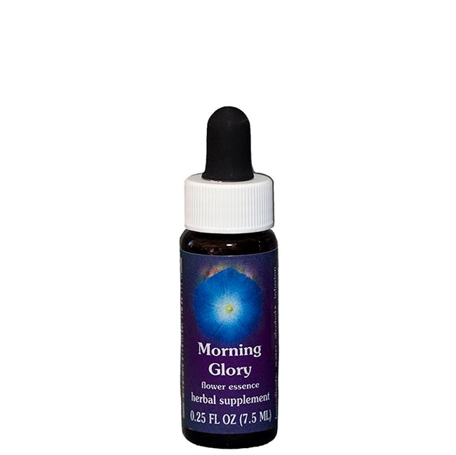 モーニンググローリー7.5ml[Morning Glory] | ブランド一覧,FES
