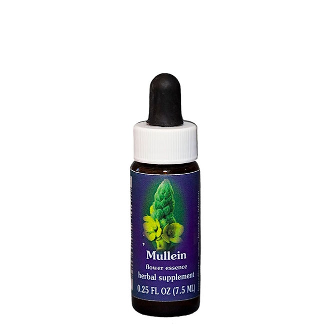 セルフヒール7.5ml[Self-Heal] | ブランド一覧,FESフラワーエッセンス