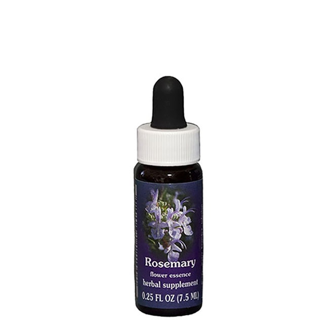 ローズマリー7.5ml[Rosemary] | ブランド一覧,FES