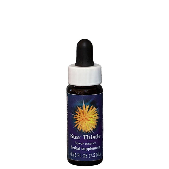 【専用】ベビーブルーアイズ(30ml) 　FES フラワーエッセンス　他 ブレージングスター30ml[Blazing Star] | ブランド一覧,FES
