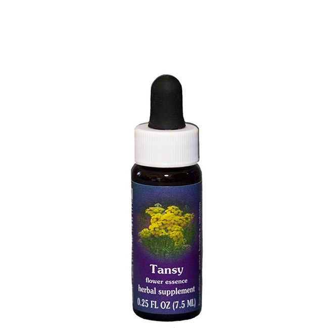 タンジー7.5ml[Tansy]