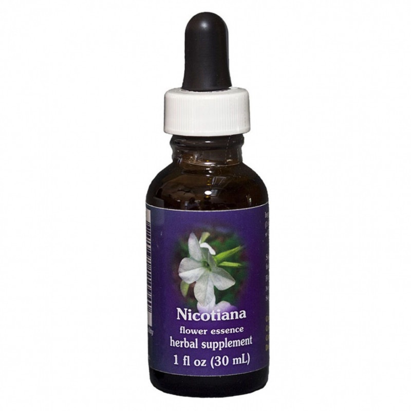 【専用】クリスマスベル　オーストラリアンブッシュ　フラワーエッセンス　他 クリスマスベル[Christmas Bell] | ブランド一覧,オーストラリアン