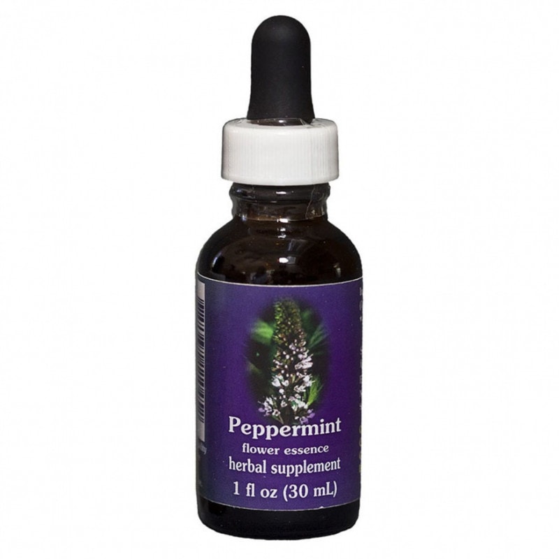 バブル オブ ラブ[Bubble of Love] | ブランド一覧,インディゴ