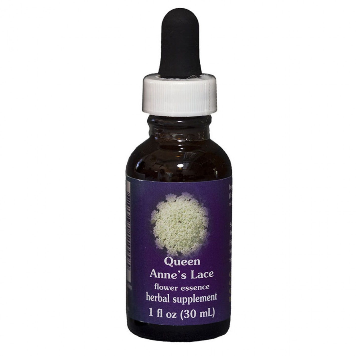 クイーンアンズレース30ml[Queen Anne's Lace] | ブランド一覧