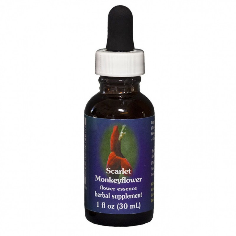 ボアブ[Boab] | ブランド一覧,オーストラリアンブッシュ