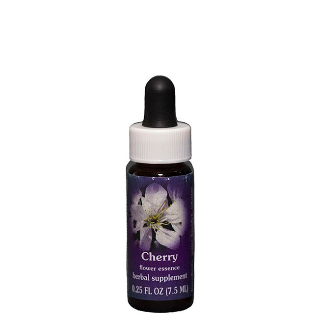 予約品】ヘマタイト『内なる光を抱く』インディゴエッセンス