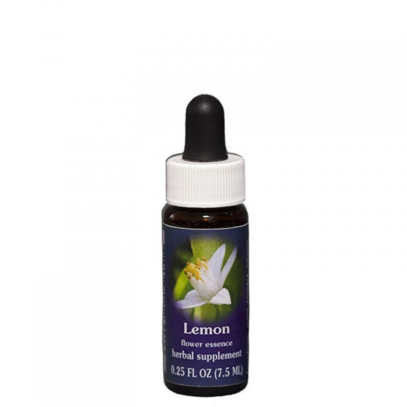 【予約】小待宵草フラワーエッセンススプレー～光の雫～　和のフラワーエッセンス 小待宵草フラワーエッセンススプレー～光の雫～