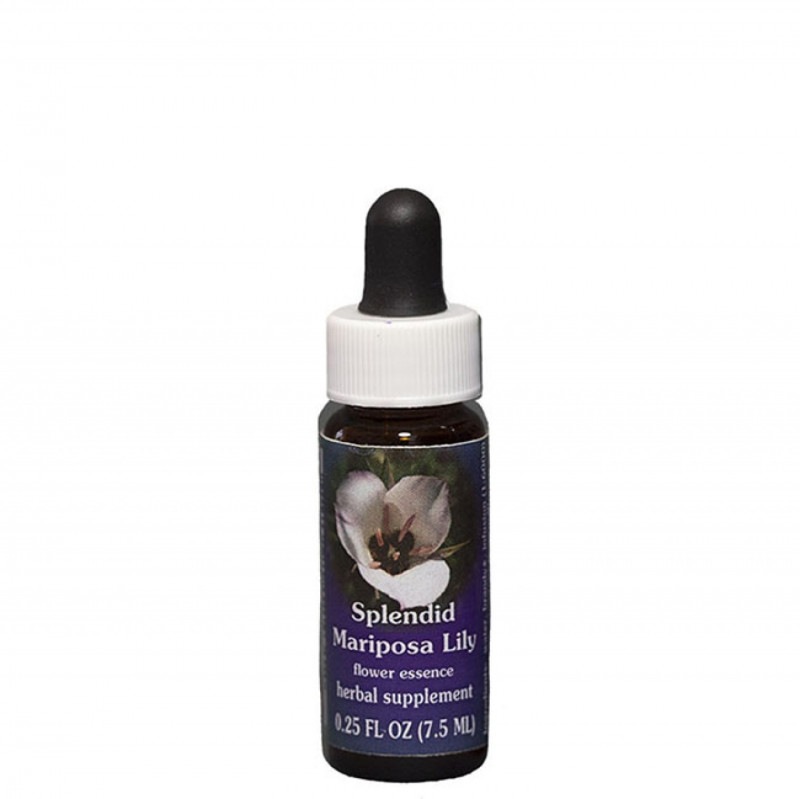 ラベンダー7.5ml[Lavender] | ブランド一覧,FES