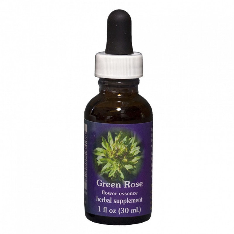 DNA クリアリング[DNA Clearing]#60 | ブランド一覧,アンジェリック