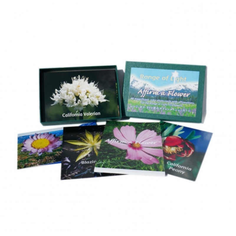 バッチアファメーションカード(FES：日本語版)全39枚 | ブランド一覧