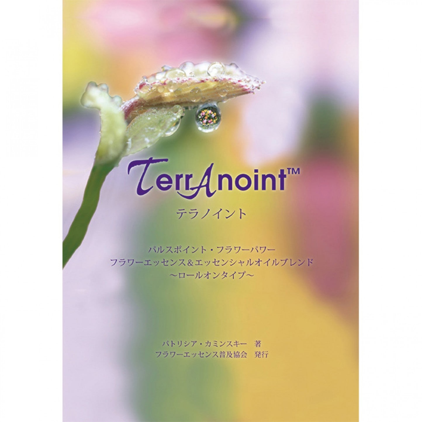 テラノイント解説小冊子