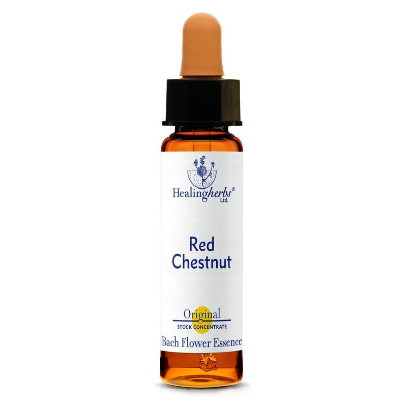 レッドチェストナット10ml[Red Chestnut]