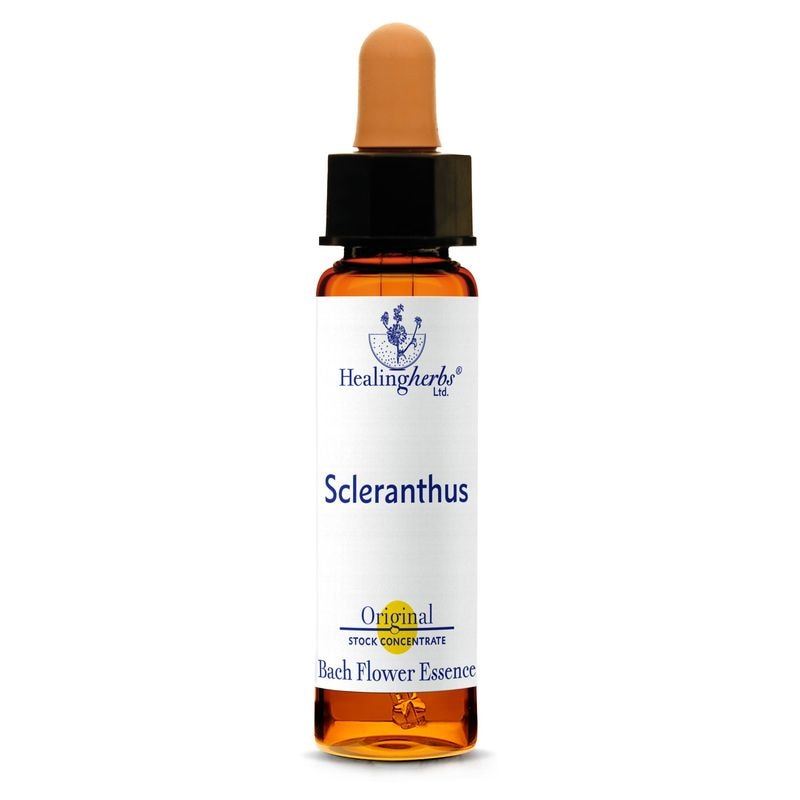 スクレランサス10ml[Scleranthus]