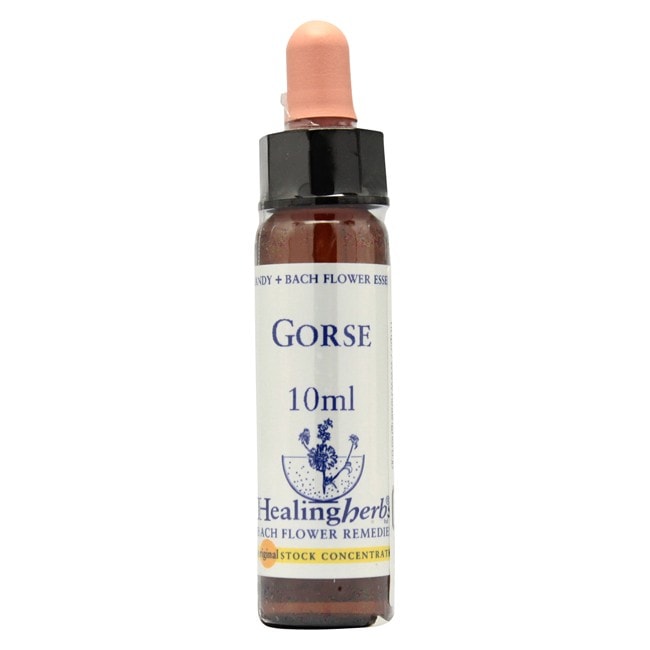 ゴース10ml[Gorse]