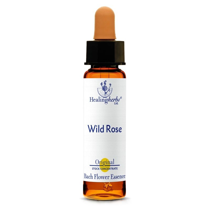 ワイルドローズ10ml[Wild Rose]