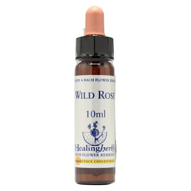 ワイルドローズ10ml[Wild Rose]