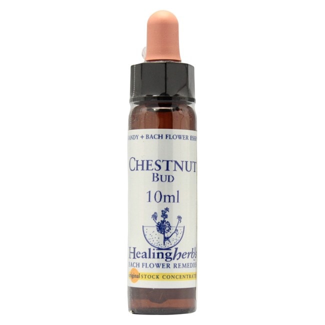 チェストナットバッド10ml[Chestnut Bud]
